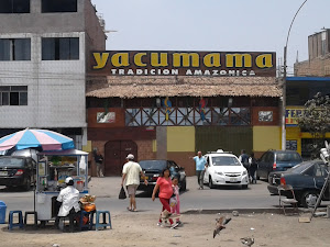 Yacumama 2