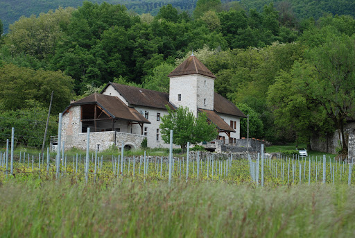 Photo de Château de Fortis à Serrières-en-Chautagne (73310)