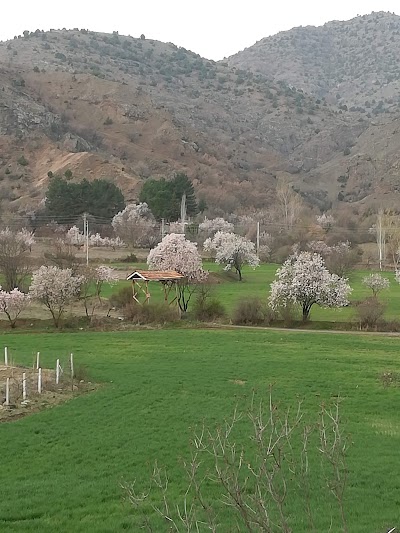 Gürleyik Mahallesi Muhtarlığı