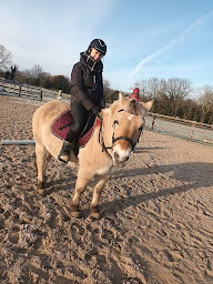 Photo n°18 de Hue Cocotte ! à Manvieux (Centre équestre)