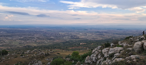 El buste - Visual