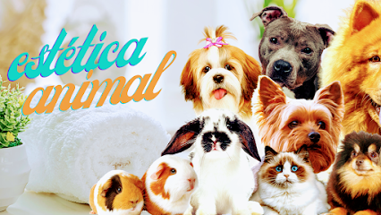 PET LOVERS SAÚDE & ESTÉTICA ANIMAL