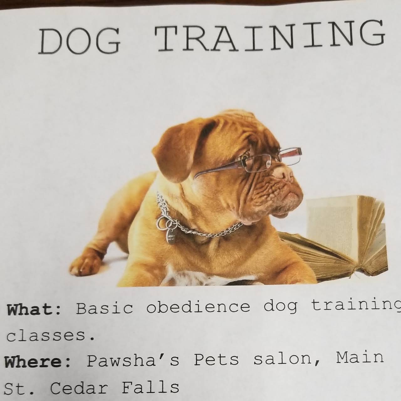 Store Locator Einstein Pets