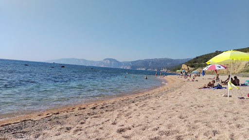Palmasera S.P.A. - Thumbnail