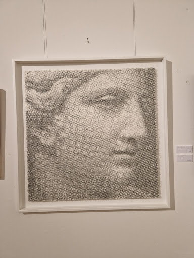 Museo Diotti - Visual
