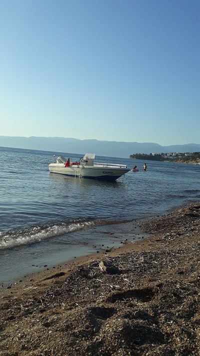 Oksijenli Yaşam Sitesi