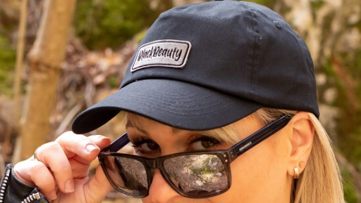 nordnordberg.de - Thumbnail