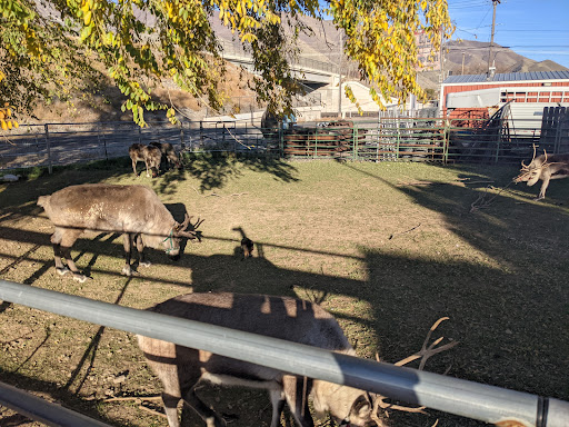 Mountain West Animal Hospital - Thumbnail