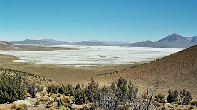 Photos of Monumento Natural Salar de Surire