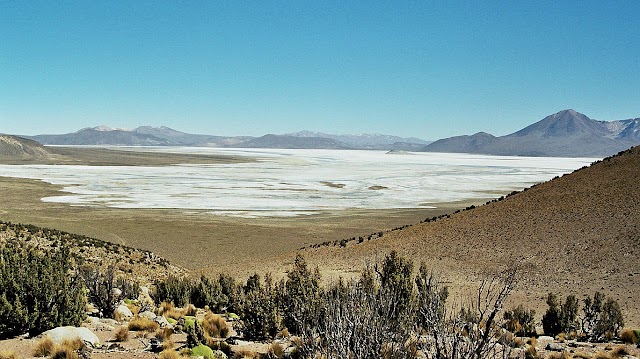 Monumento Natural Salar de Surire