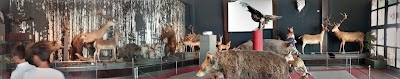 Photos of Кафе КООП Обнова