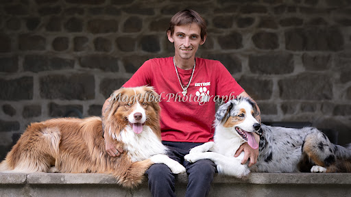Educateur canin - Dressage - Socialisation - Comportementaliste - Gallery - France