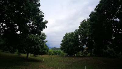 Photos of Los Vedas SPA Campestre