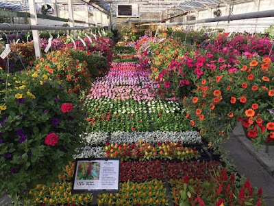 Jackson Florist and Garden Center