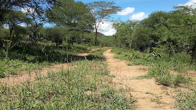 Photos of Nzola Farm