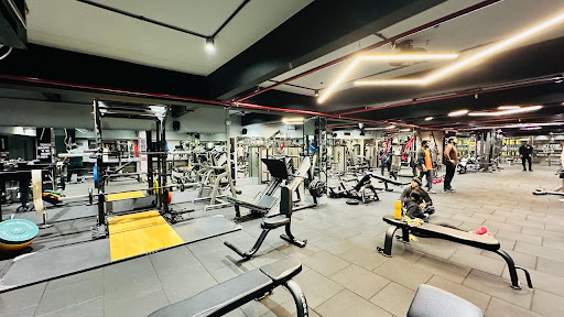 Gallery image 9