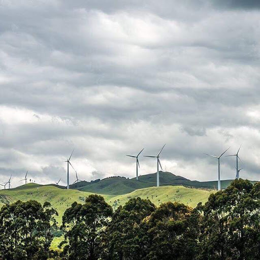 Te Apiti Wind Farm - Thumbnail