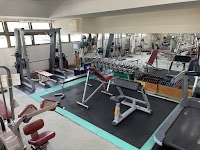 スポーツコア アルファ