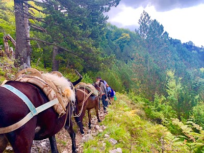 Albanian Adventure Resort