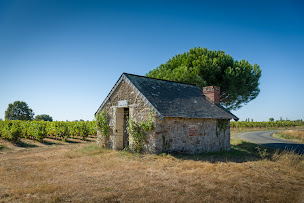 Photo n°8 de Château la Varière à Brissac Loire Aubance (Établissement vinicole)
