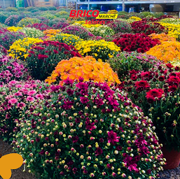 Photo n°11 de Bricomarché Saintes à Saintes (Magasin de poêles à bois)