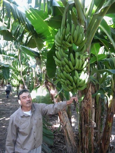 Photos of Finca Don Genaro