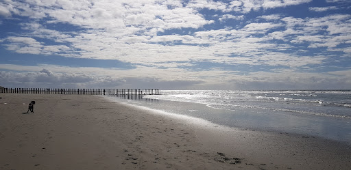 Hollum, Sier aan Zee - Thumbnail
