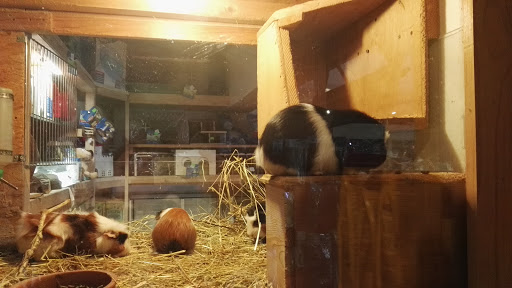 Zoobedarf Welzheim - Thumbnail