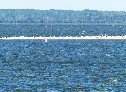 Pelican Island lookout point - Thumbnail