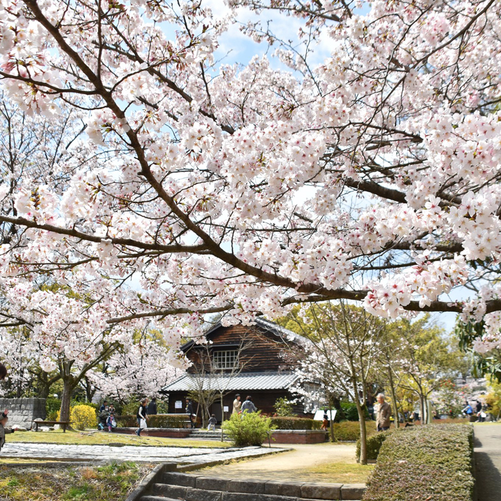 石橋文化センター