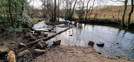 Mill Dam - Visual