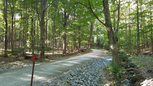 Appalachian Trail at Hammersley Ridge - Thumbnail