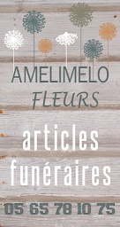 Photo n°7 de AMELIMELO FUNERAIRE à Marcillac-Vallon (Magasin de plantes artificielles)