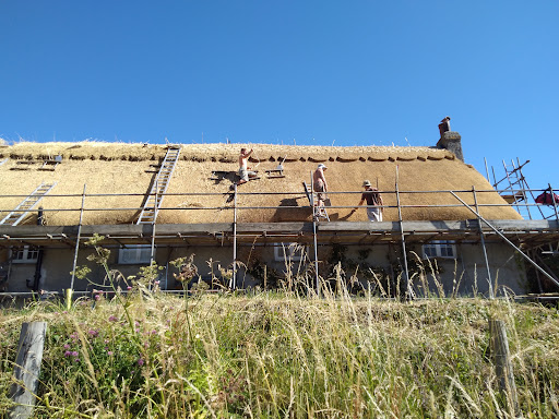 Celtic Thatch - Visual
