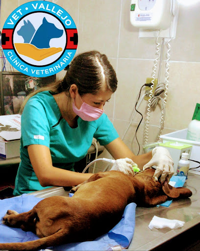 Clinica Veterinaria Plaza Vallejo