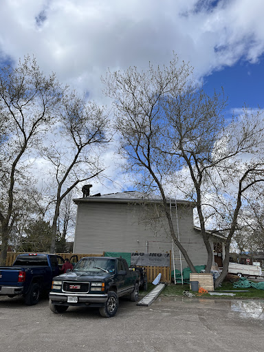 DNM Roofing - Thumbnail