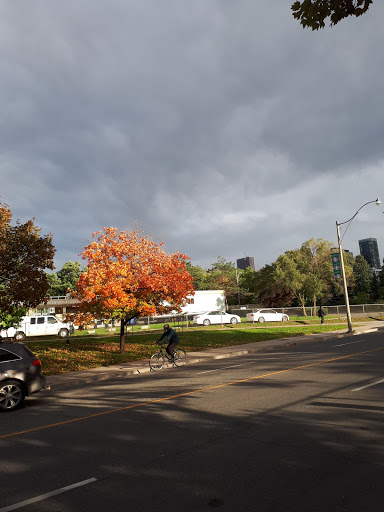 Royal College of Dental Surgeons of Ontario - Thumbnail