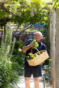 Laqua Countryside by null