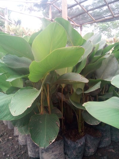 Photos of kurnia asri taman