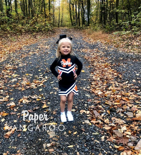 Paper Kangaroo - Visual