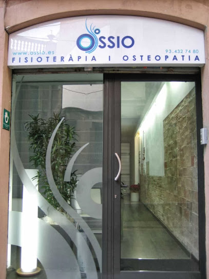 Ossio