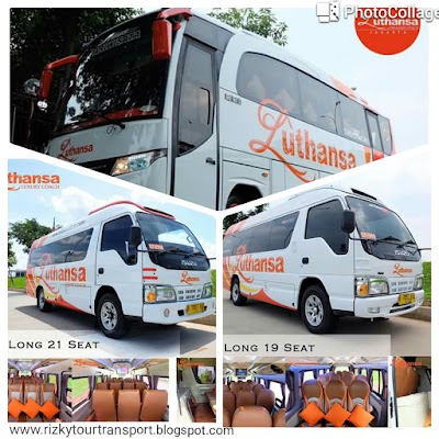 car-rental