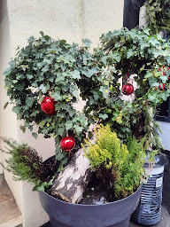 Photo n°9 de Fleurs et Nature by Enzo à Mulhouse (Fleuriste)