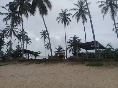Photos of Stumble Inn