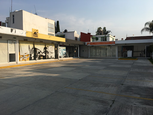 Sánchez Sánchez Consultores en Seguros