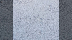 Photo n°12 de PISCINE EQUIPEMENT à Bezouce (Magasin)