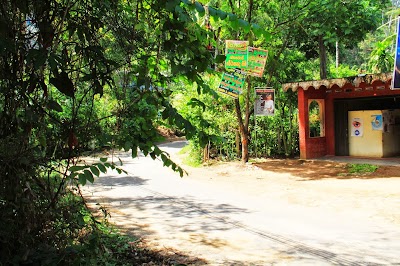 Photos of CeyHerbal Ayurveda