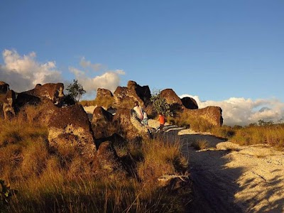 Photos of Rio Perdido lodge