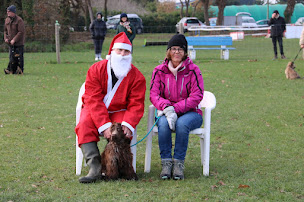 Photo n°2 de Club canin sport éducation bigouden à Plobannalec-Lesconil (Club)
