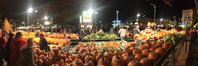 Photos of Circleville Pumpkin Show
